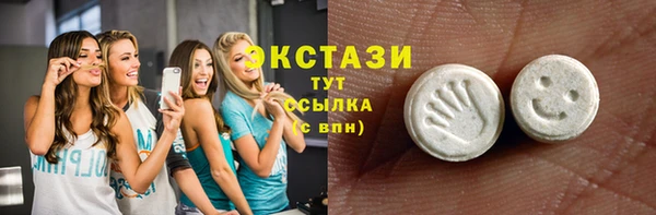соль ск Новозыбков