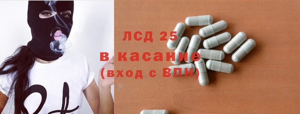 прущие грибы Новодвинск