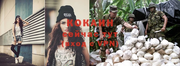 прущие грибы Новодвинск