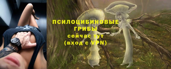 дживик Нея
