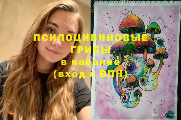 прущие грибы Новодвинск