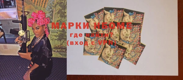 прущие грибы Новодвинск