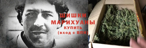 трава Бикин