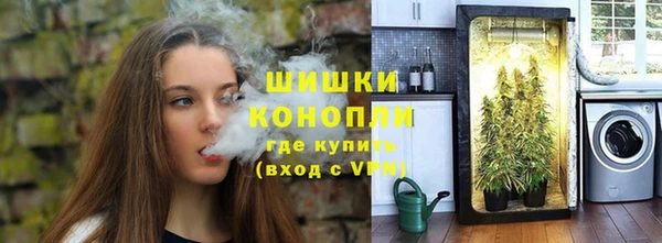 соль ск Новозыбков