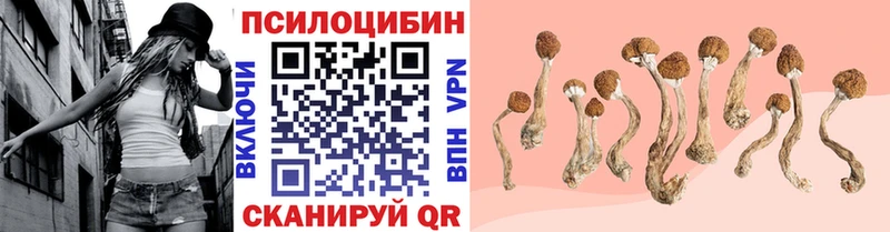 Псилоцибиновые грибы Psilocybe  Ахтырский 
